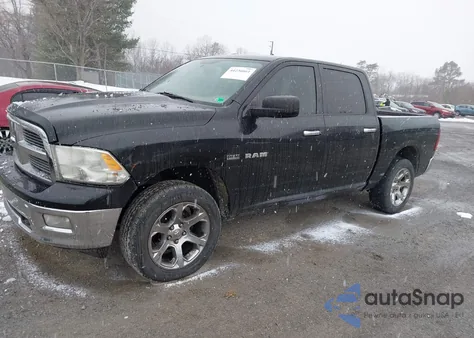 2010 Dodge Ram 1500 Slt/Sport/Trx from USA, damaged, VIN 1D7RV1CT0AS197784